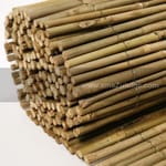 View Peeled Reed